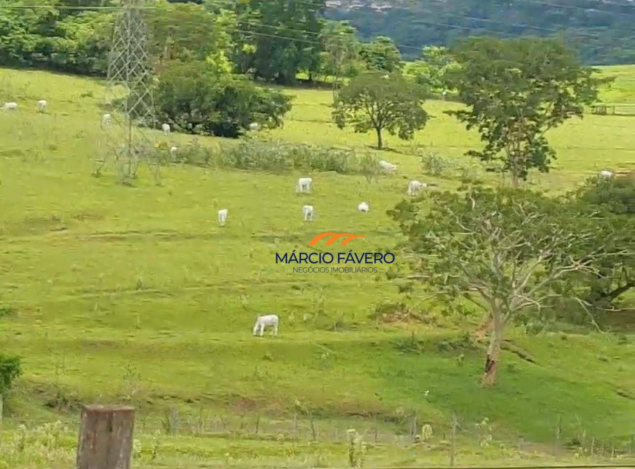 Fazenda, 307 hectares - Foto 1