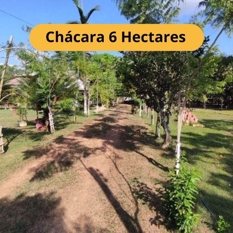 Chácara, 5 quartos, 6 hectares - Foto 1