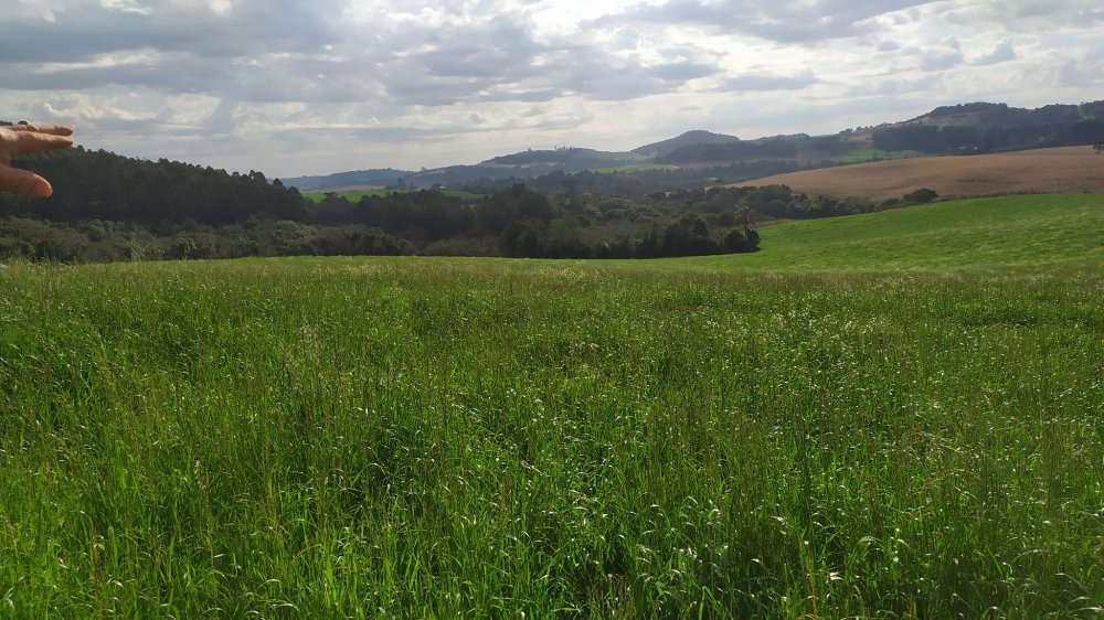 Fazenda à venda, 60m² - Foto 10