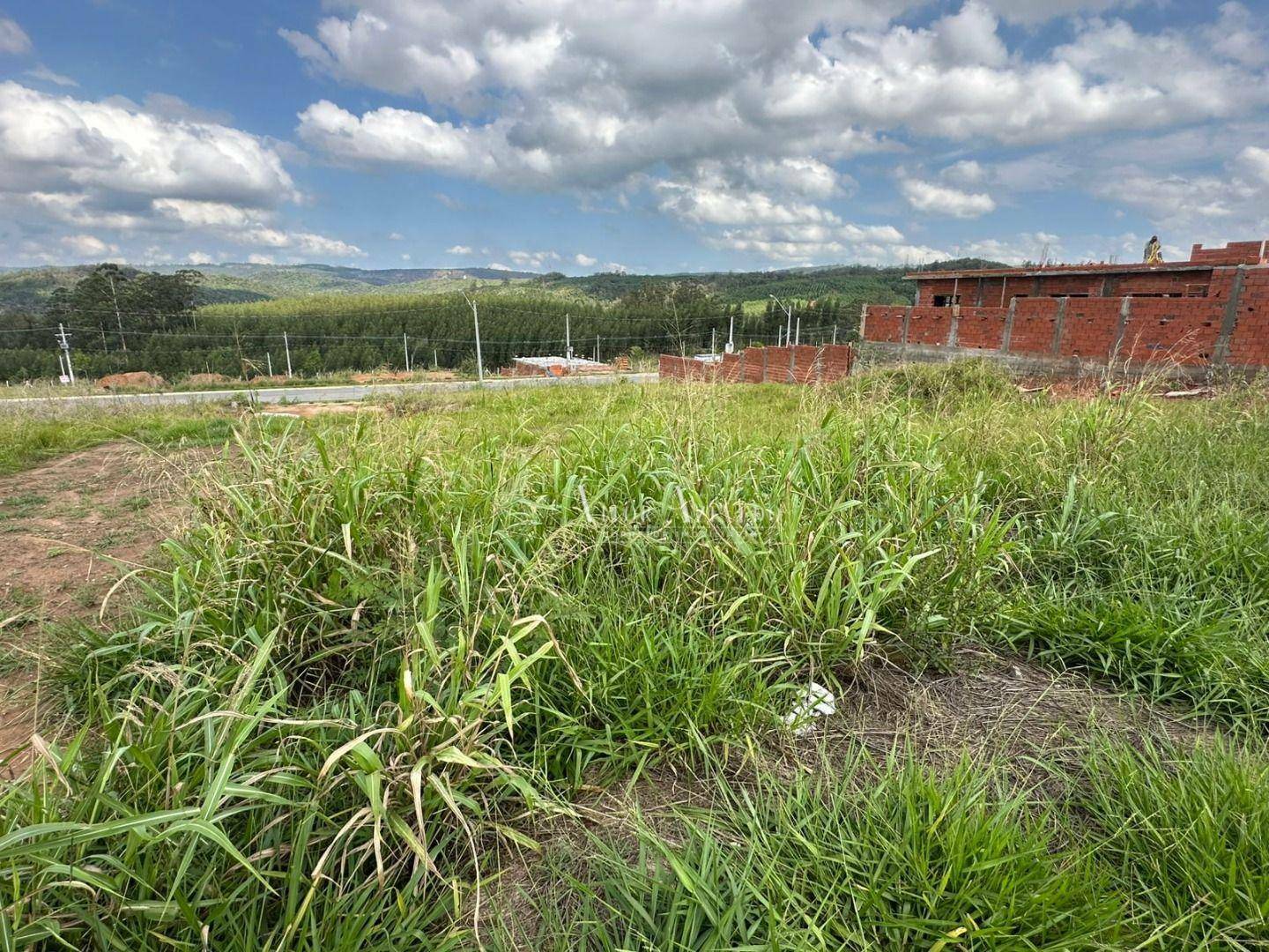 Terreno à venda, 175M2 - Foto 3