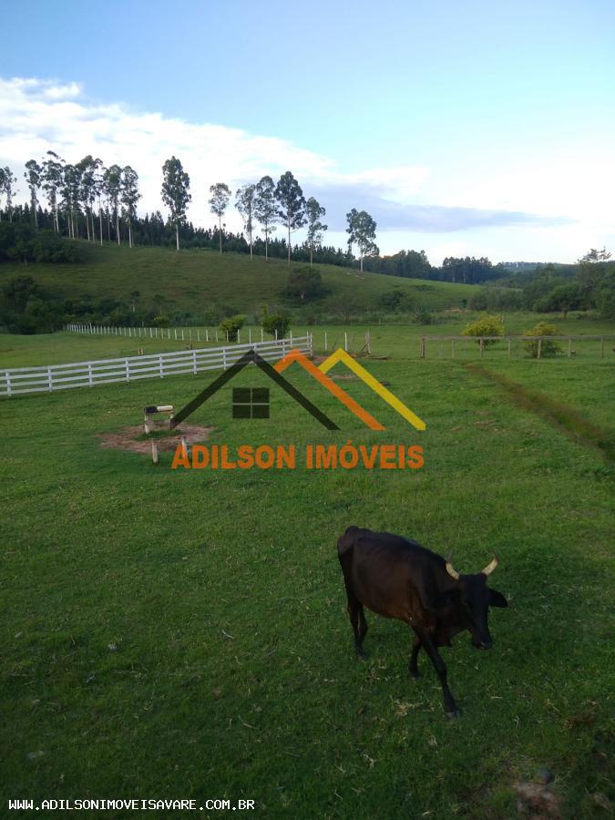 Chácara à venda com 2 quartos, 24200m² - Foto 3