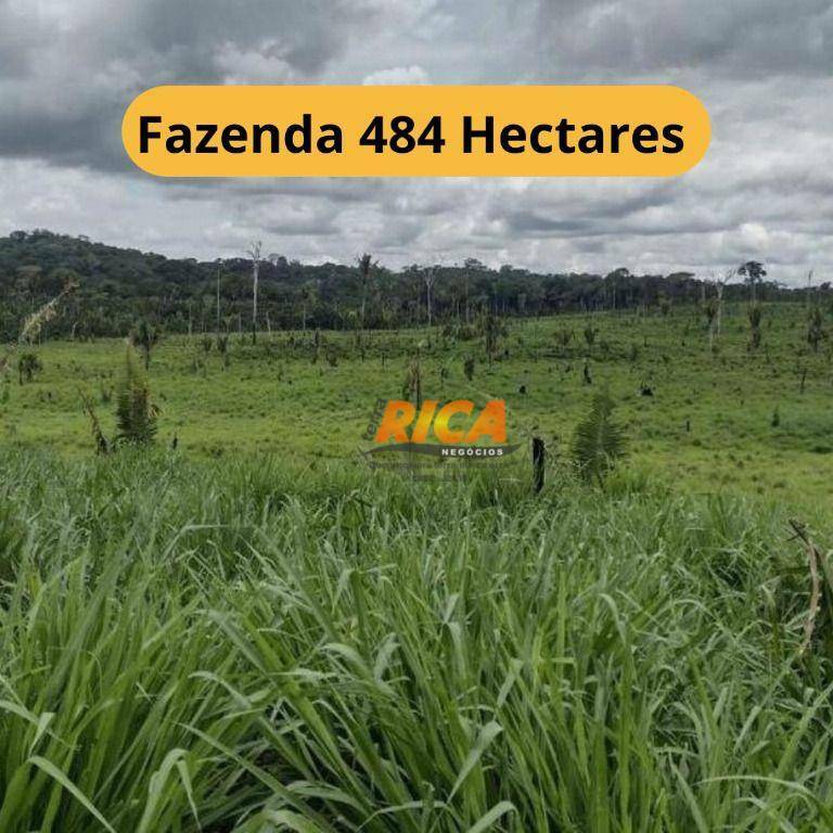 Fazenda-Sítio-Chácara, 484 hectares - Foto 1