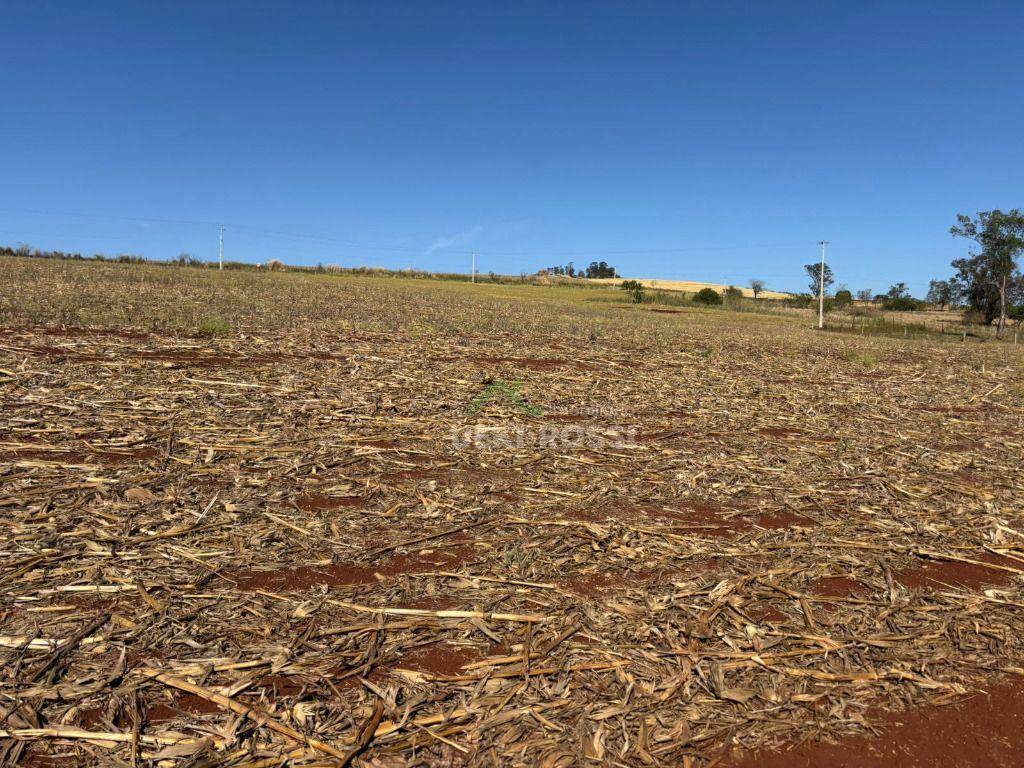 Fazenda, 232 hectares - Foto 17