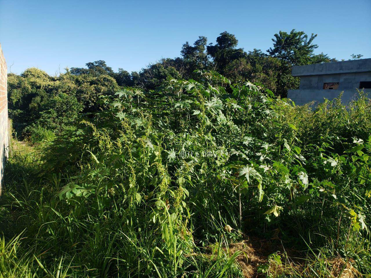 Terreno à venda, 250M2 - Foto 8