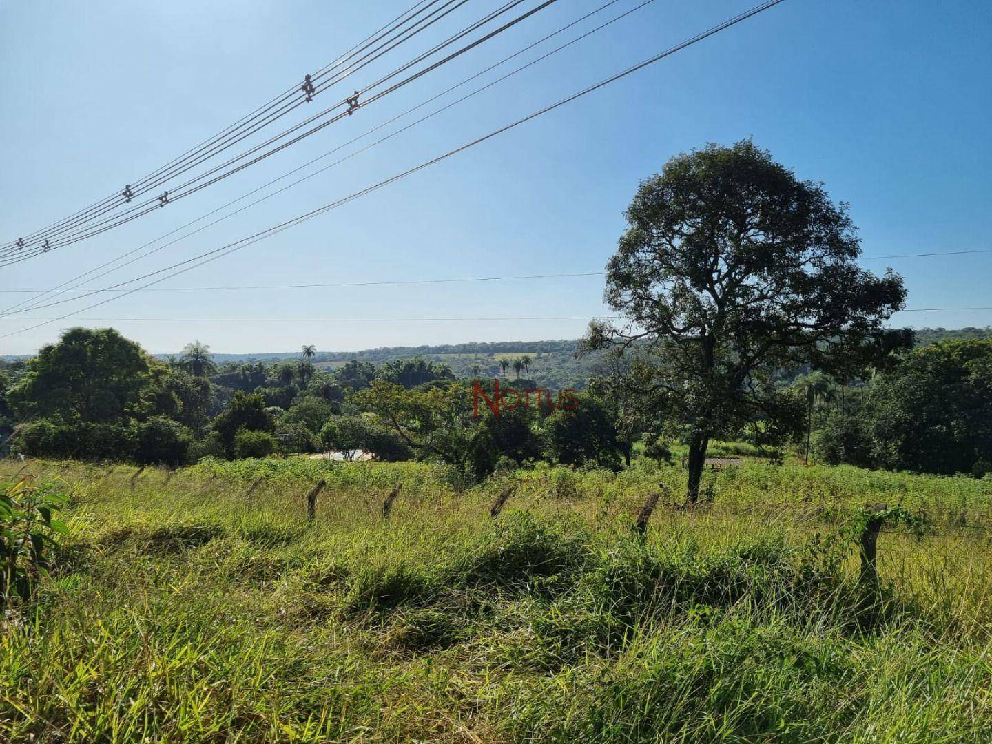 Terreno à venda, 1300M2 - Foto 5