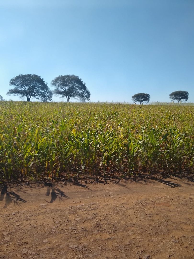 Terreno à venda, 181500M2 - Foto 5