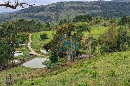 Chácara, 2 hectares - Foto 13