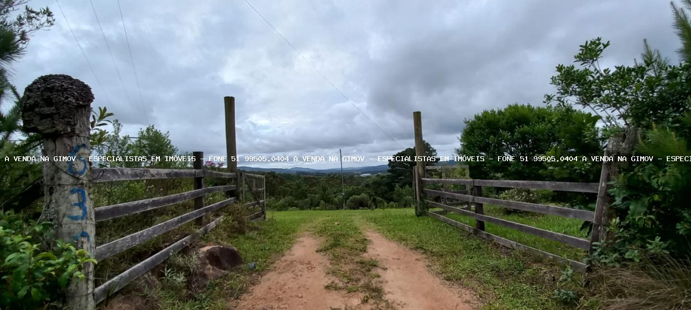 Fazenda à venda com 3 quartos, 3m² - Foto 20