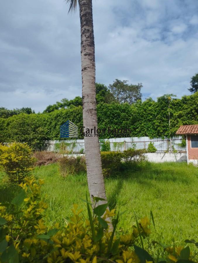 Casa à venda com 3 quartos, 410m² - Foto 45