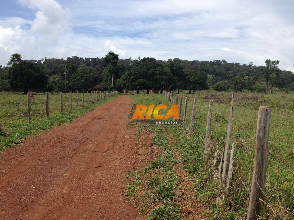 Fazenda à venda com 3 quartos, 1000000M2 - Foto 11