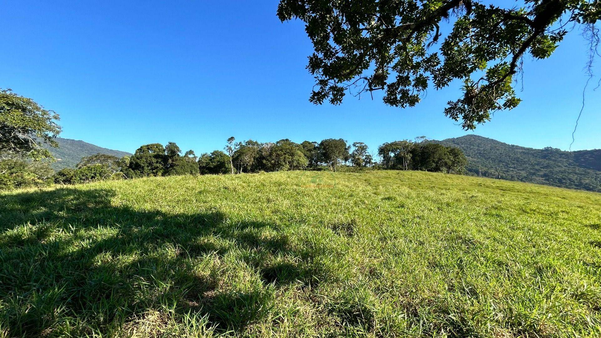 Terreno, 27 hectares - Foto 20