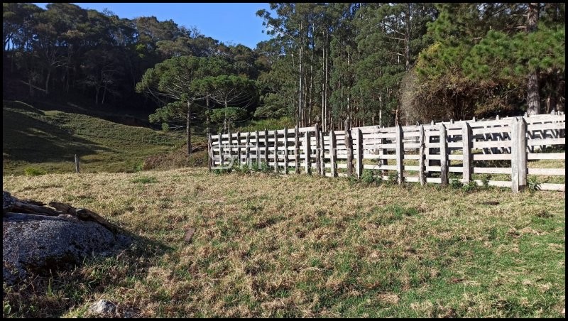 Fazenda à venda com 2 quartos, 24m² - Foto 69