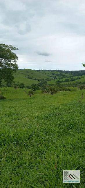 Fazenda-Sítio-Chácara, 305 hectares - Foto 2