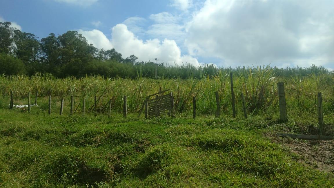 Fazenda à venda - Foto 2