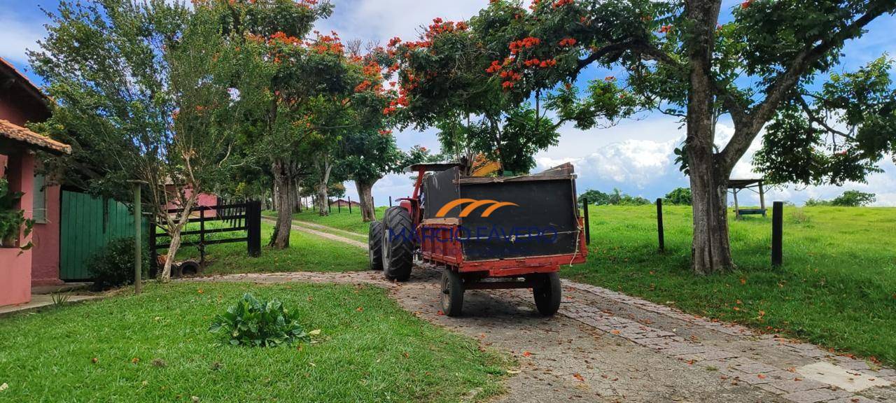 Fazenda, 136 hectares - Foto 5