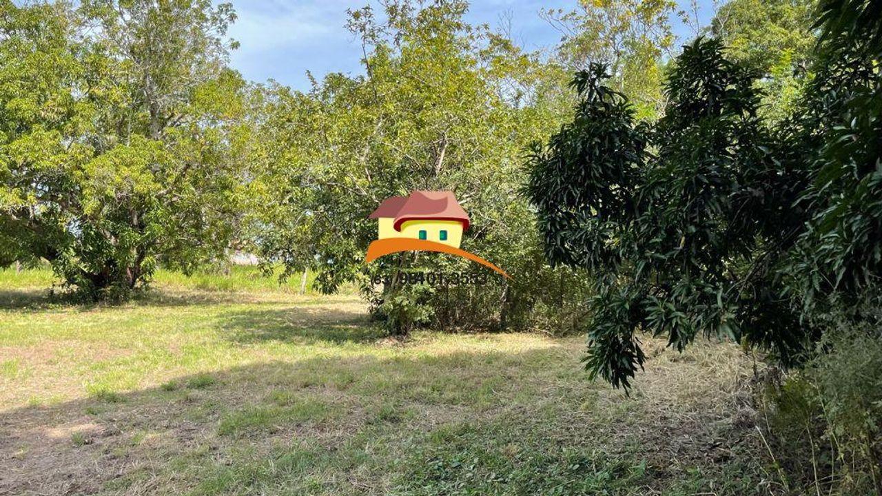 Fazenda, 1 m² - Foto 5