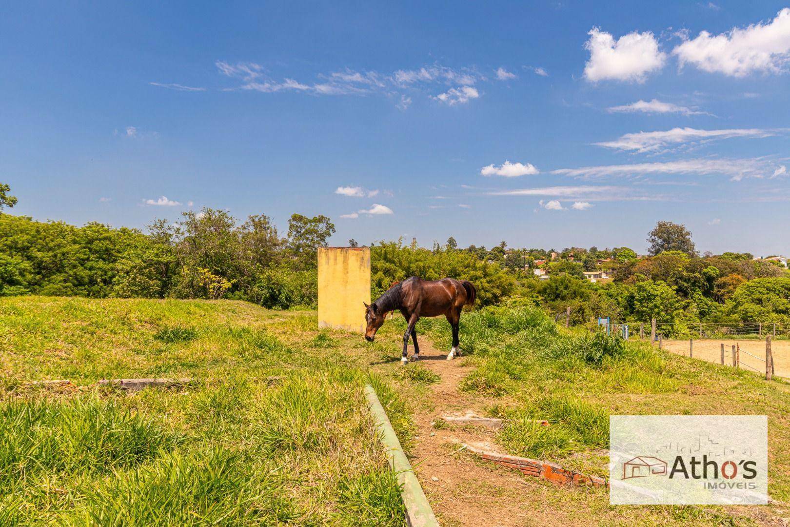 Haras e Área Rural Padrão à venda, 20140M2 - Foto 14