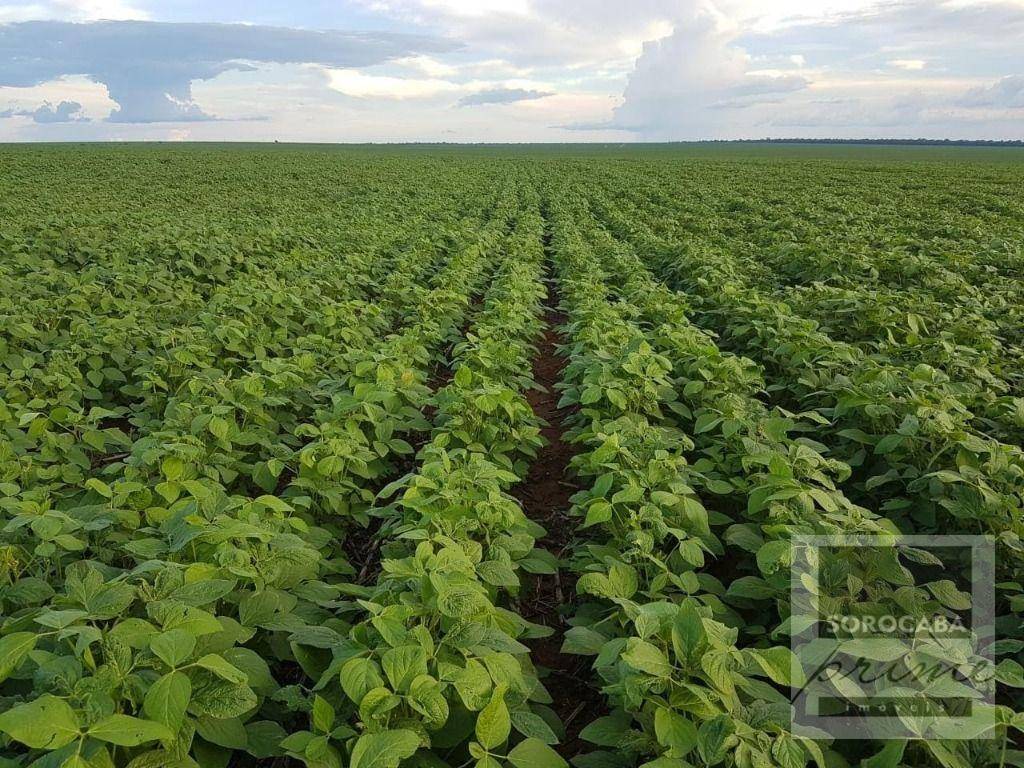 Fazenda, 17500 hectares - Foto 2