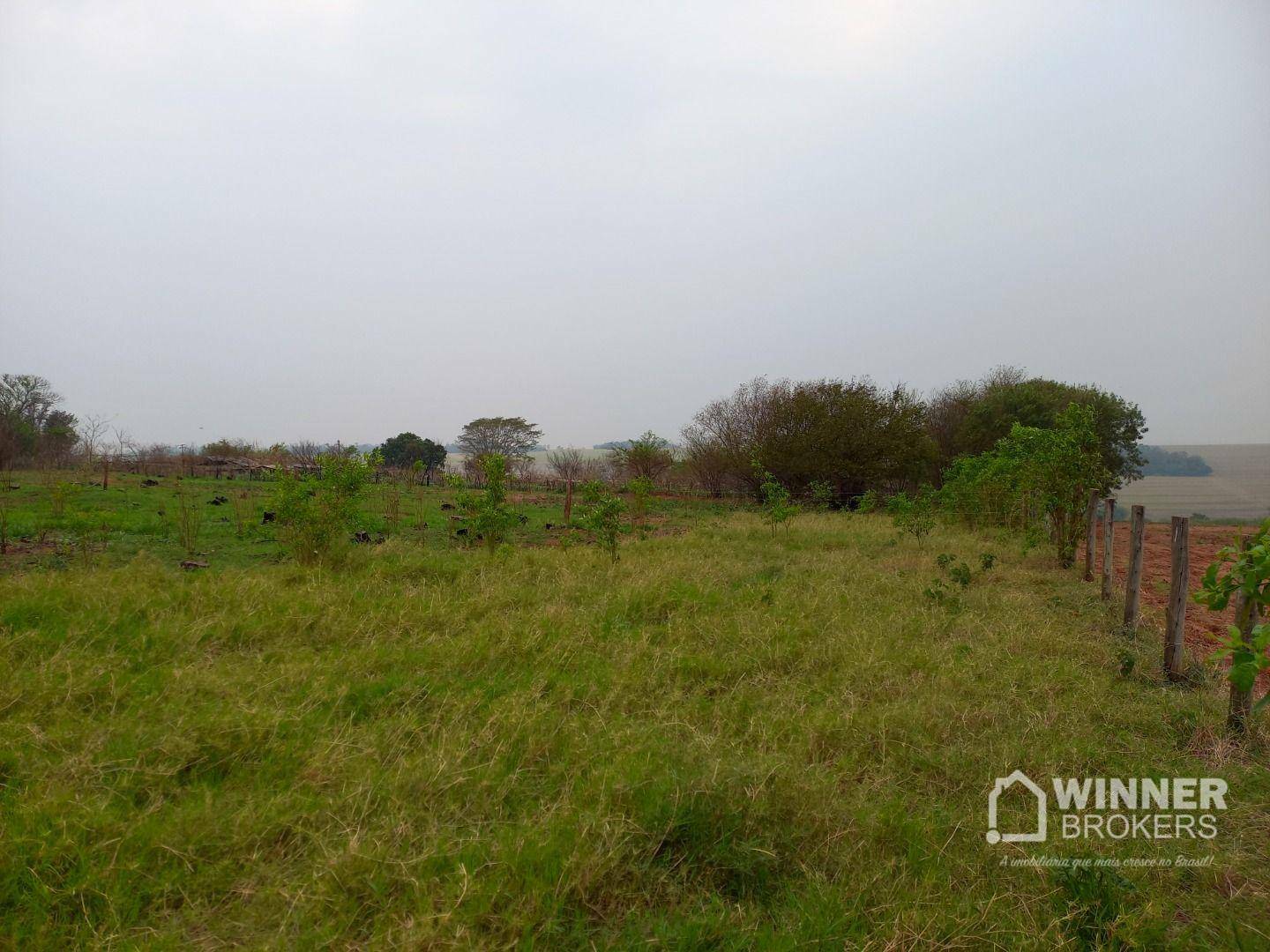 Chácara, 3 quartos, 2 hectares - Foto 11