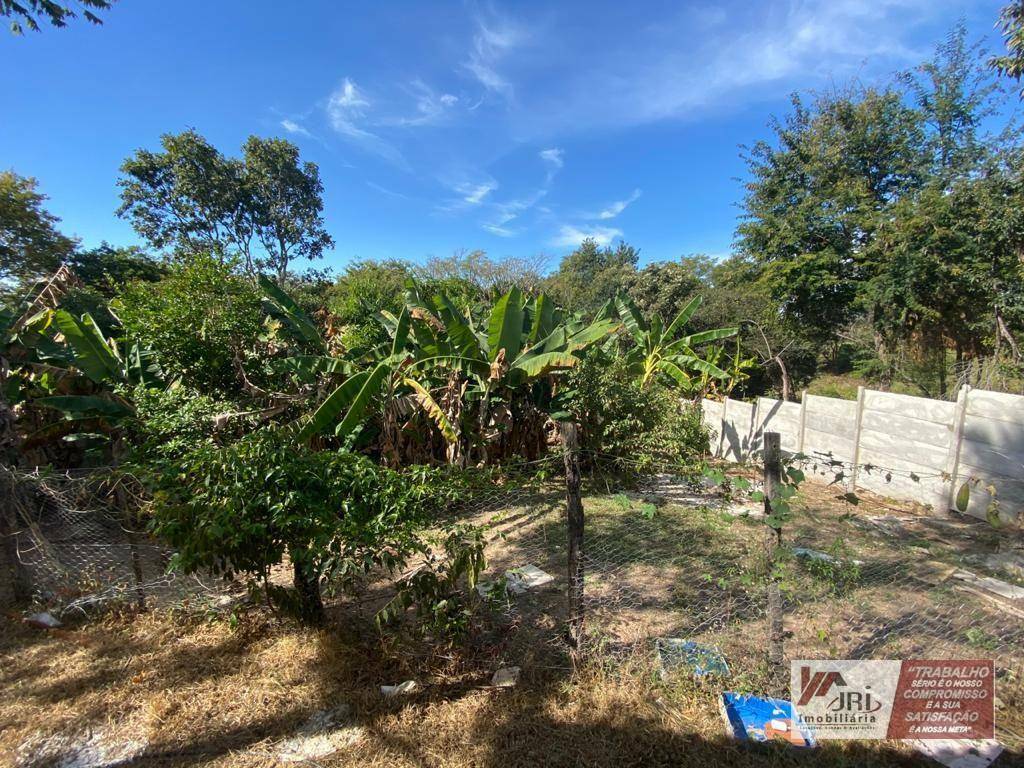 Fazenda à venda com 3 quartos, 2500M2 - Foto 26