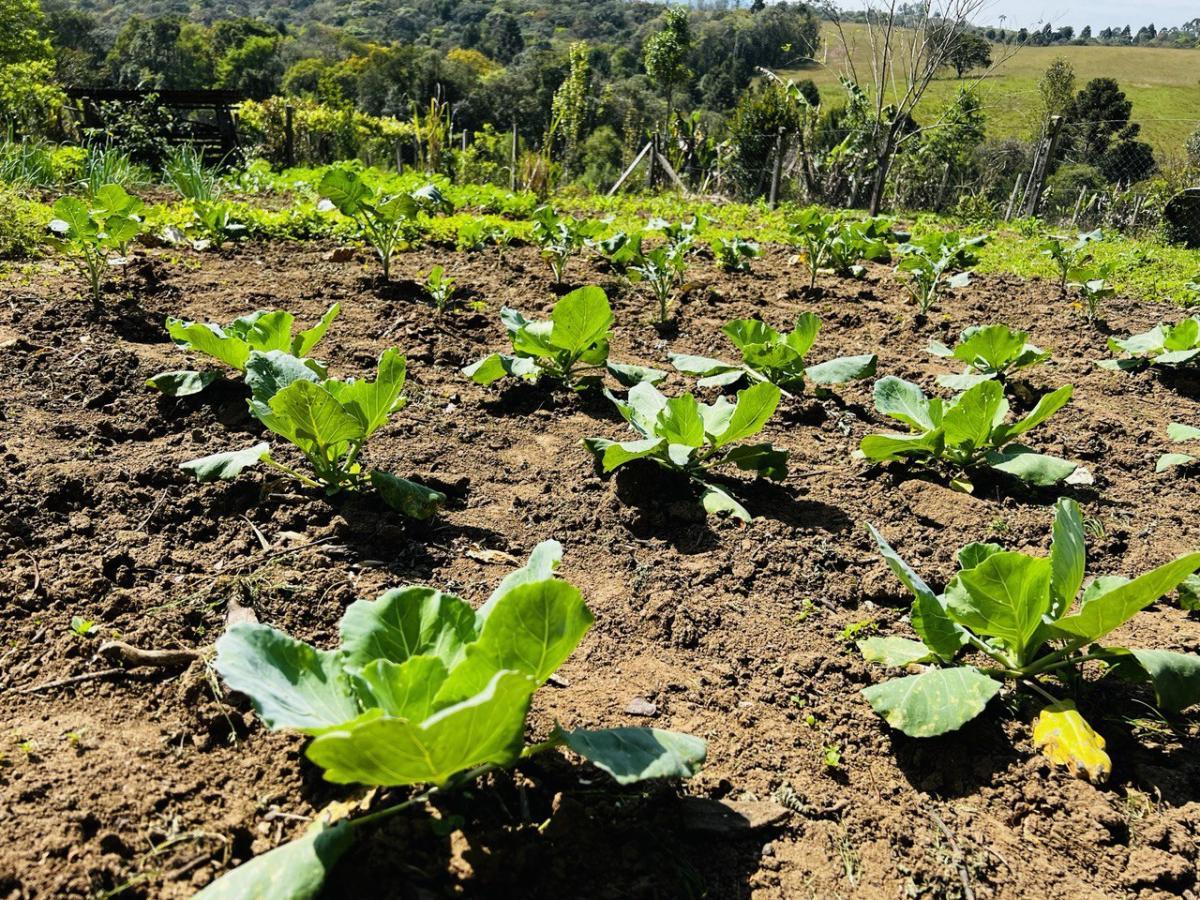 Fazenda à venda, 6300m² - Foto 36