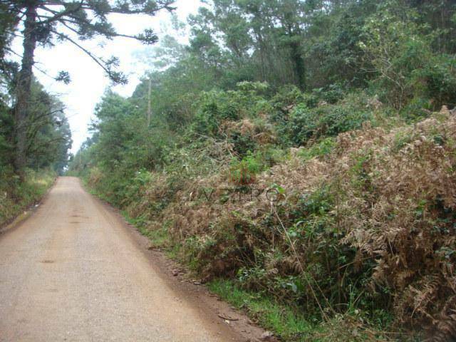 Terreno à venda, 50000M2 - Foto 2