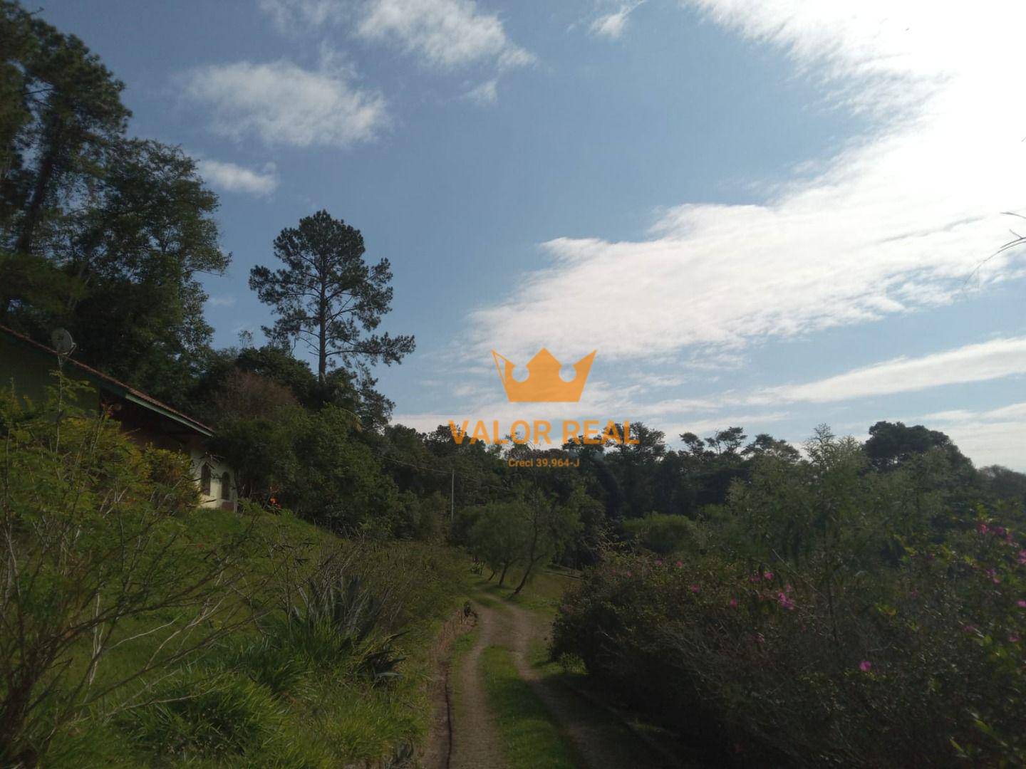 Sítio, 15 quartos, 10 hectares - Foto 22