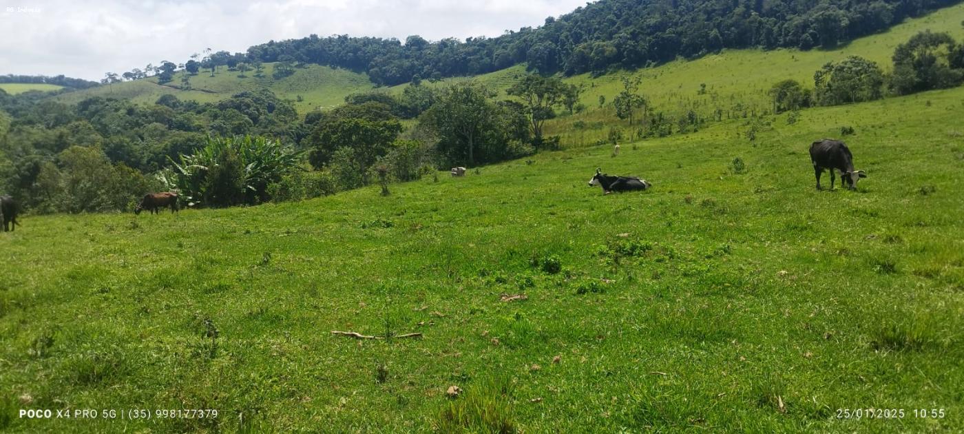 Sítio à venda com 2 quartos, 726000m² - Foto 8