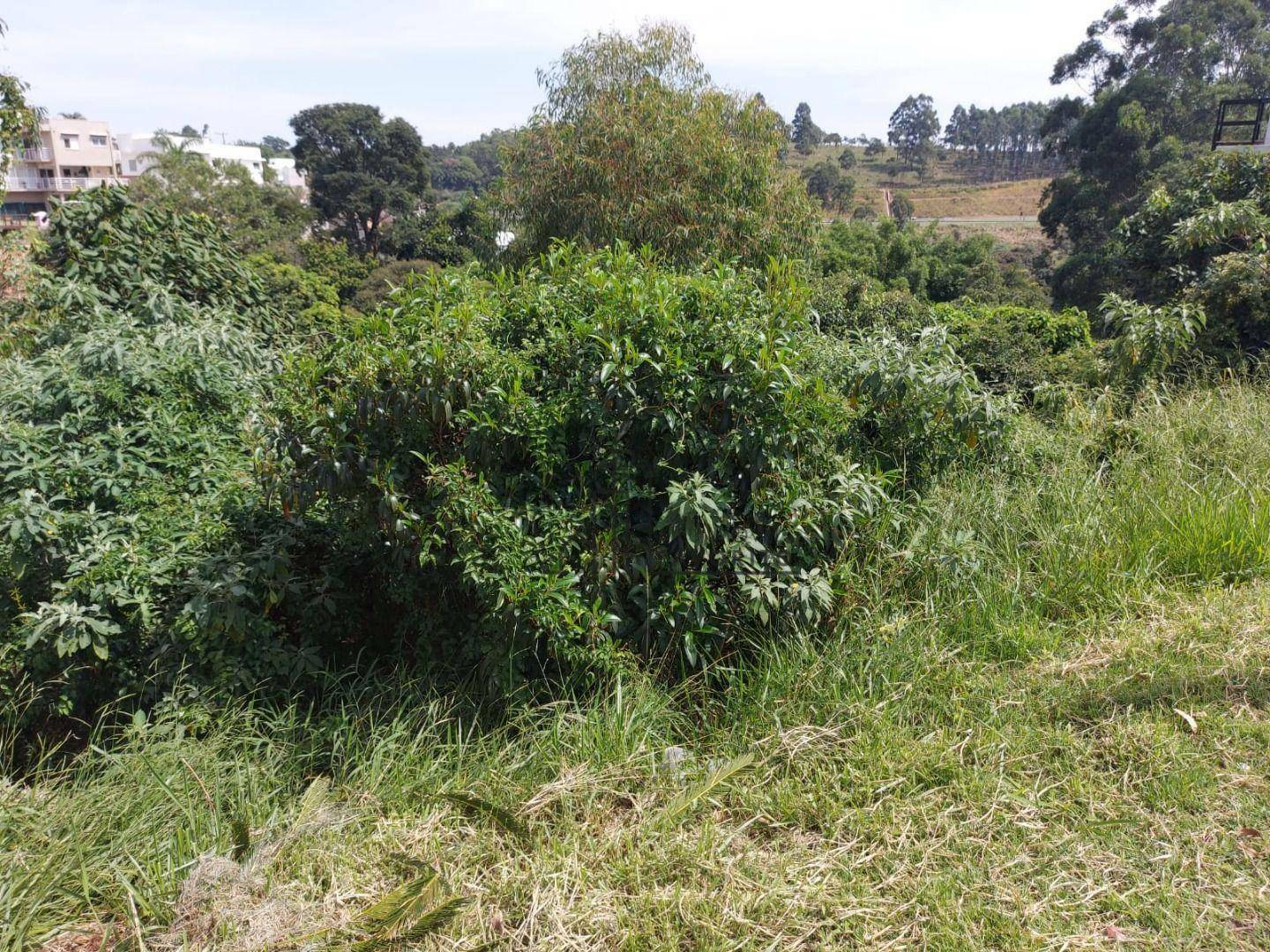 Loteamento e Condomínio à venda, 1273M2 - Foto 7