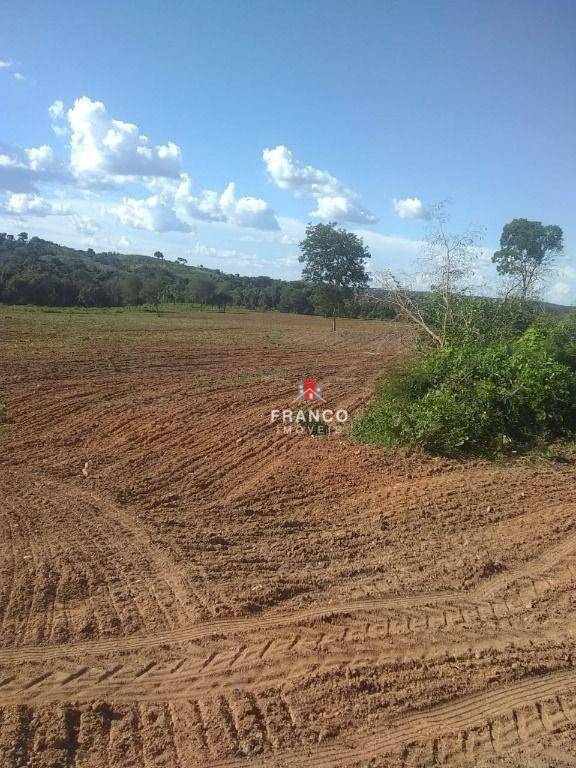 Fazenda à venda com 6 quartos, 350m² - Foto 5