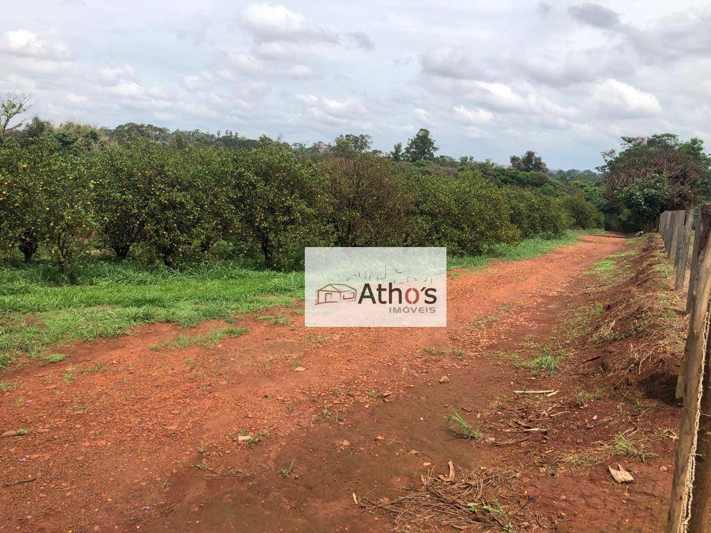 Chácara à venda com 3 quartos, 12300M2 - Foto 11