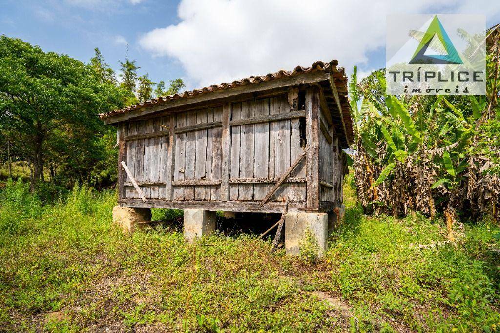 Fazenda à venda com 8 quartos, 1910000M2 - Foto 16