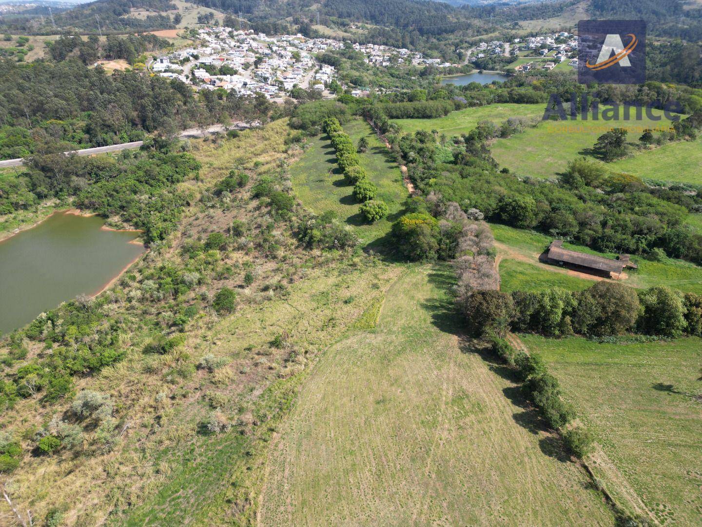 Terreno, 91 hectares - Foto 3