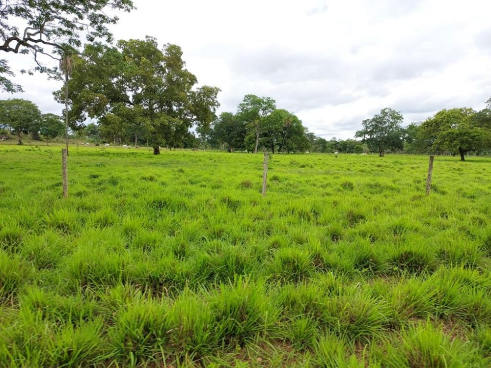 Fazenda à venda, 2575m² - Foto 10