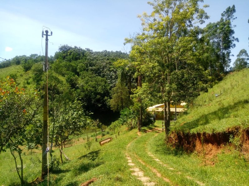 Sítio, 130 m² - Foto 5