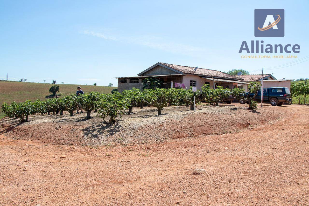 Sítio, 6 hectares - Foto 12