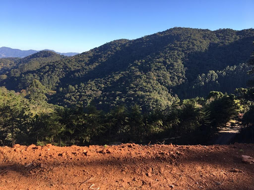 Terreno à venda, 1767M2 - Foto 1