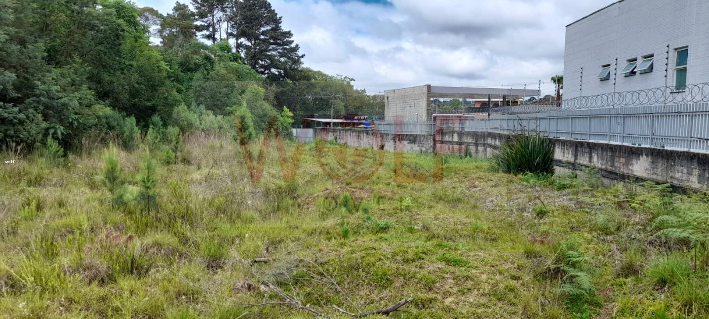 Terreno, 4596 m² - Foto 9