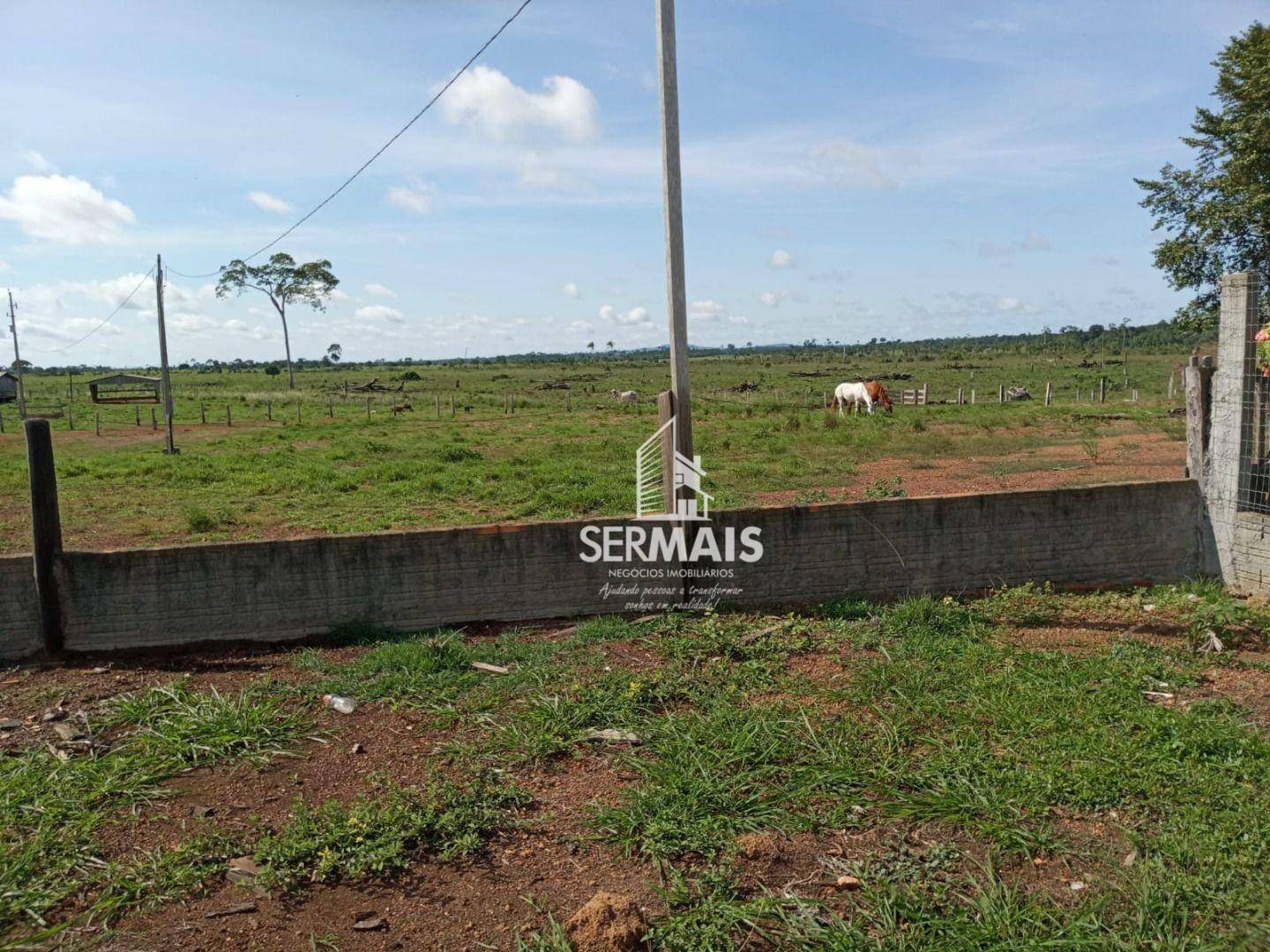 Fazenda-Sítio-Chácara, 259 hectares - Foto 3