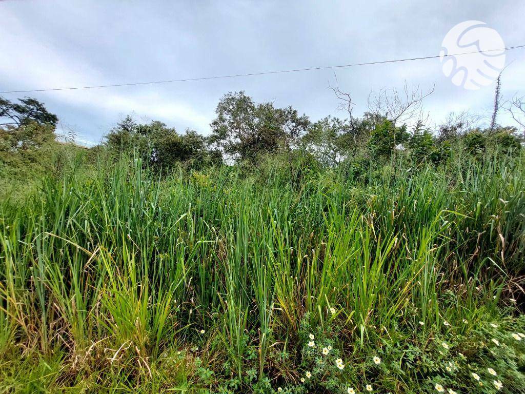 Terreno à venda, 360M2 - Foto 7