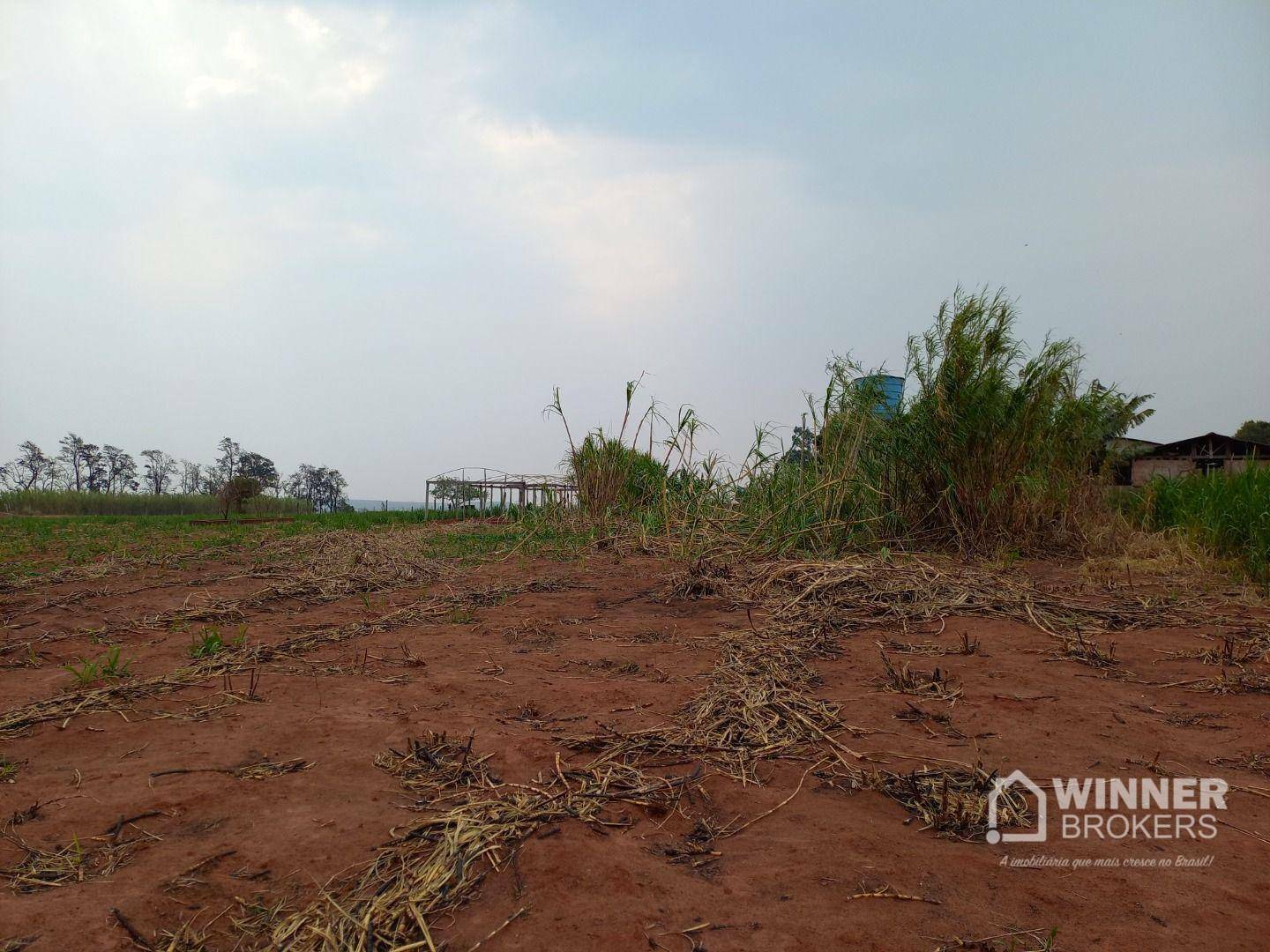 Chácara, 3 quartos, 2 hectares - Foto 18