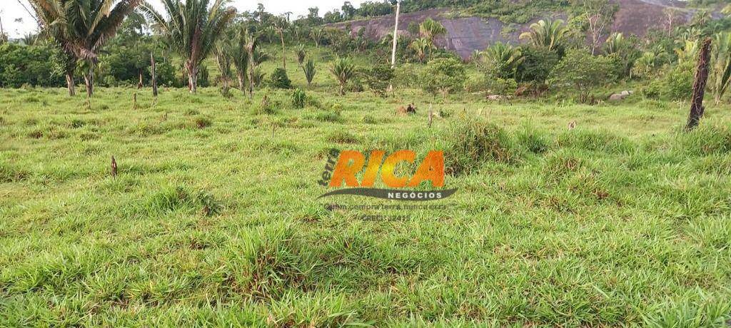 Fazenda à venda com 2 quartos, 2900000M2 - Foto 7