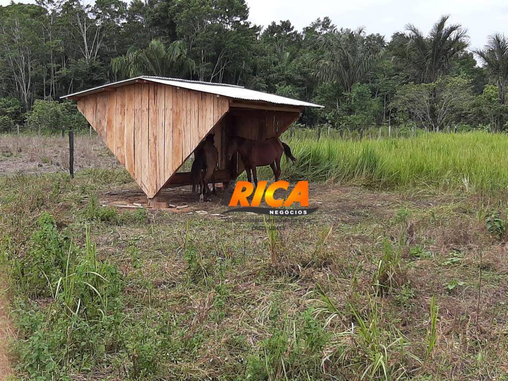 Fazenda à venda com 1 quarto, 5400000M2 - Foto 13