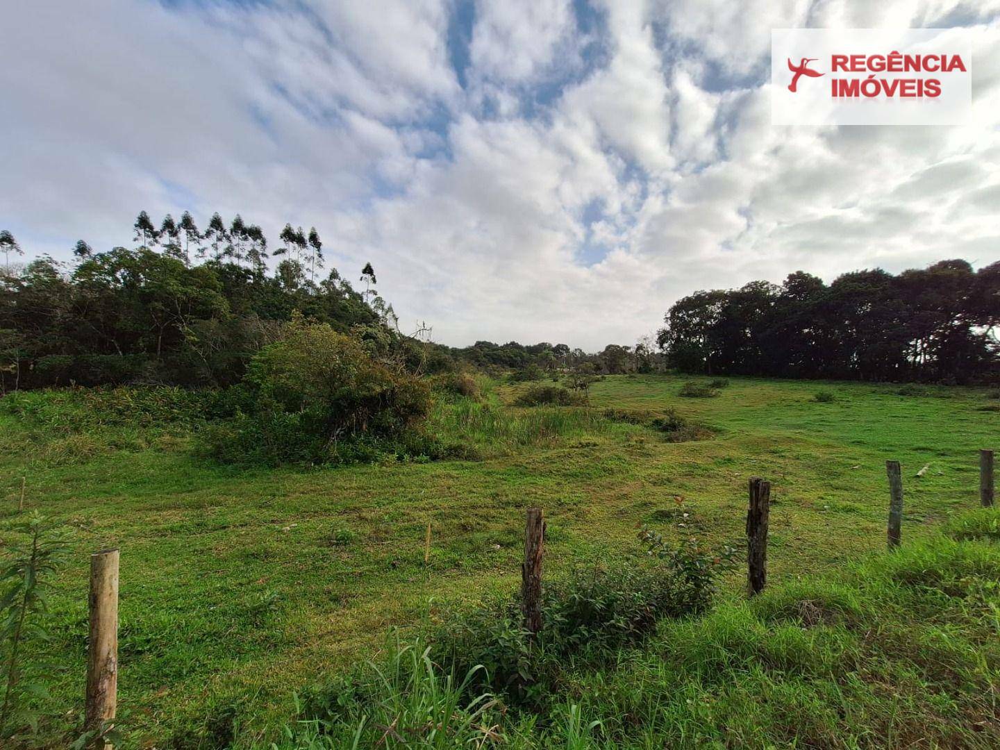 Terreno à venda, 9000M2 - Foto 4