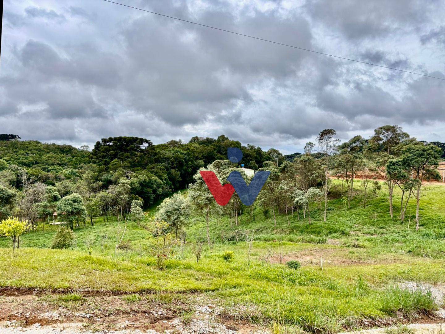 Chácara à venda com 2 quartos, 12000M2 - Foto 14