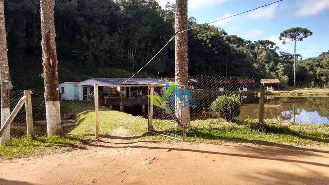 Chácara à venda com 30 quartos, 85000M2 - Foto 11