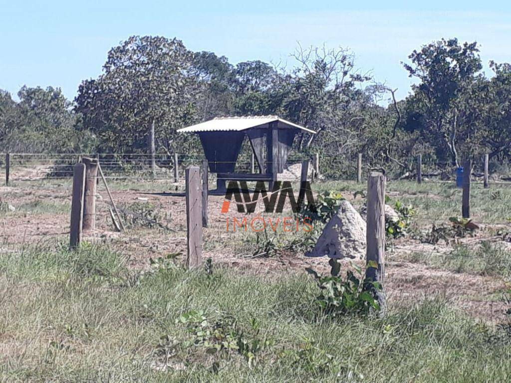 Fazenda à venda, 31060000M2 - Foto 22