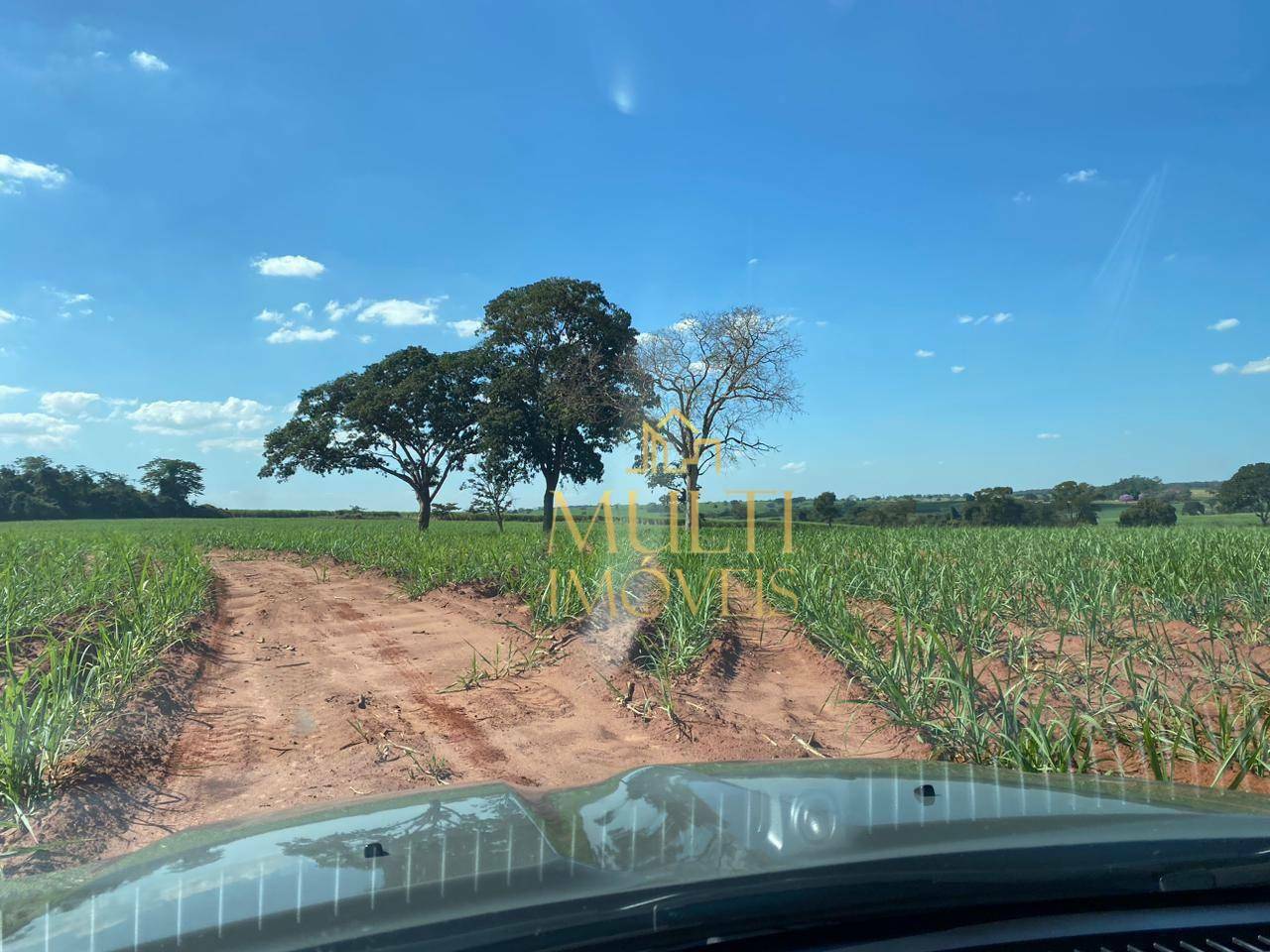 Fazenda à venda com 3 quartos, 556600M2 - Foto 7