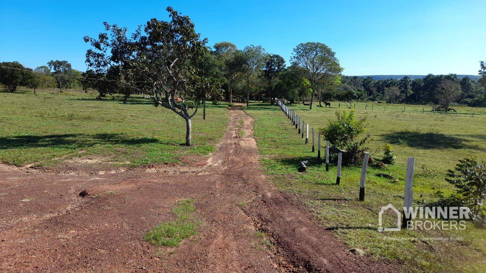 Fazenda à venda com 2 quartos, 4500000M2 - Foto 29