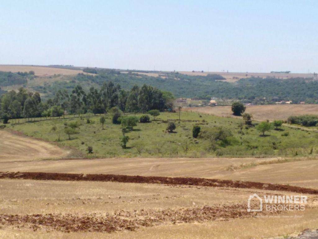 Chácara à venda, 20000M2 - Foto 3